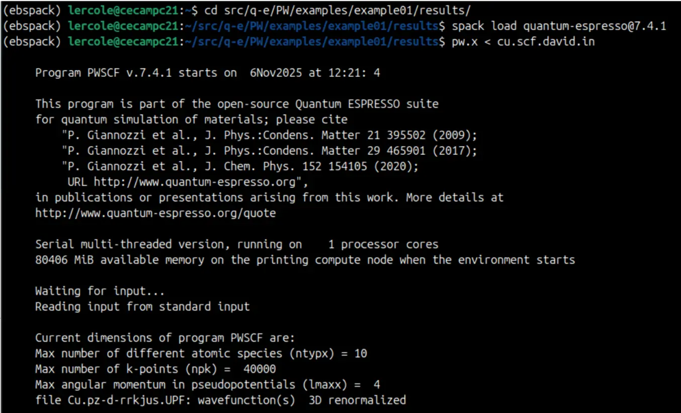Running the pw.x binary
