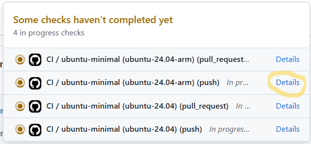 Detailed CI runs